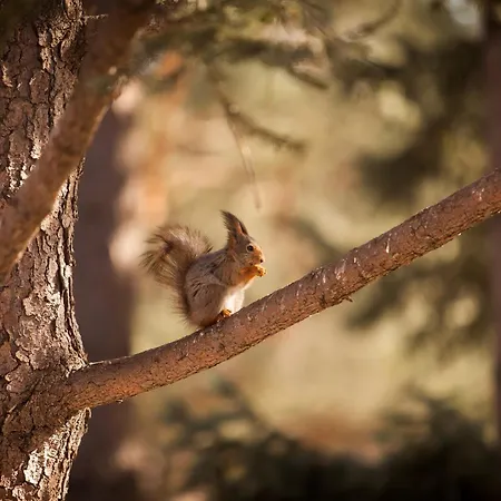 بيت للعطل Koszikla Vendeghaz A Csendes Pihenesre Vagyoknak! *